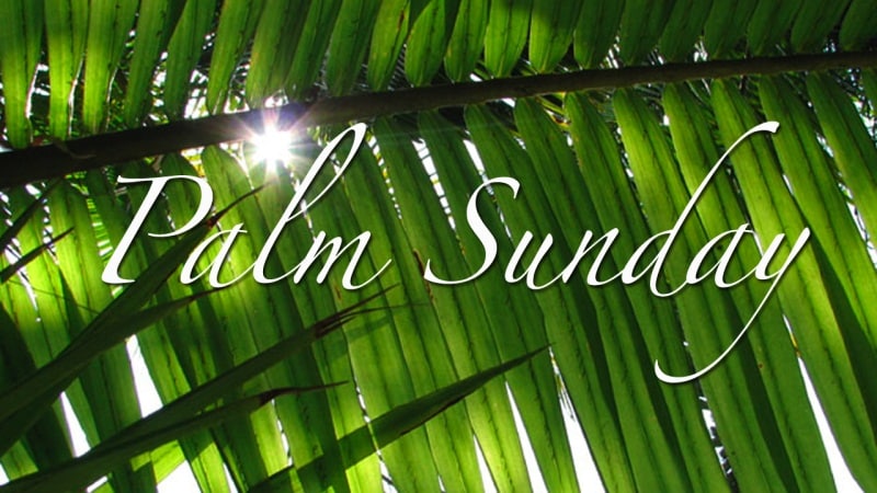 palm_sunday